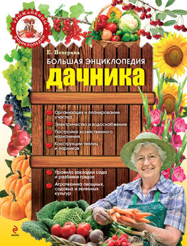 Светлана Королькова - Все о самых лучших садовых и комнатных растениях. Как выбирать, выращивать и размножать