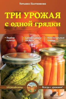 Татьяна Плотникова - Эффективная подкормка для чудо-урожая