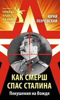 Андрей Мелехов - 1941. Козырная карта вождя. Почему Сталин не боялся нападения Гитлера?