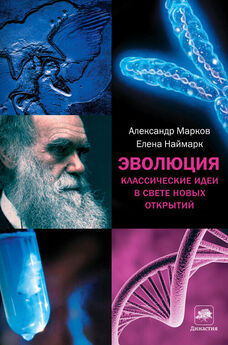 Александр Марков - Происхождение и эволюция человека