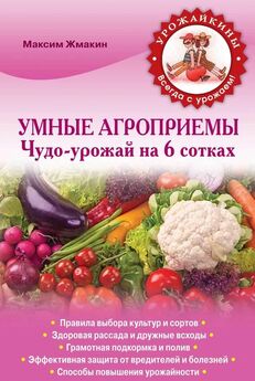 Елена Власенко - Самые урожайные сорта любимых овощей