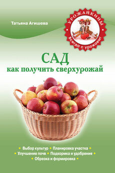 Светлана Королькова - Максимальное количество овощей, фруктов и ягод при минимальной нагрузке