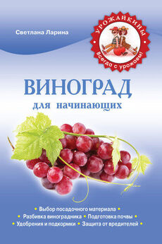 Анастасия Колпакова - Ваш домашний виноградник