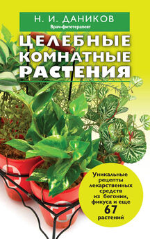 Ирина Пигулевская - Лечебные комнатные растения. ТОП-20 лекарей с вашего подоконника