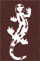 Salamandra PVV Кинжалпредатель Из секретной книги Джона Вильсона Предисл - фото 2