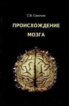Сергей Савельев - Нищета мозга