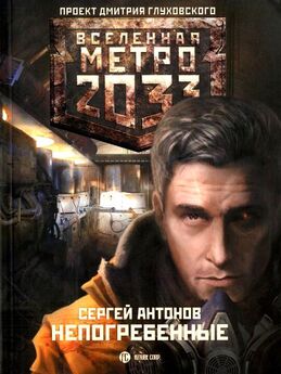 Сергей Антонов - Метро 2033. В интересах революции