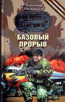 Александр Тамоников - Авиационные террористы