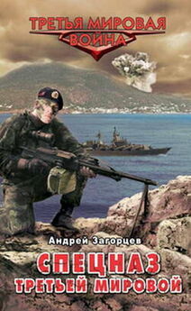 Андрей Загорцев - Спецназ Третьей Мировой. Русские козыри