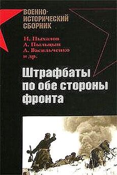 Юрий Рубцов - Новая книга о штрафбатах
