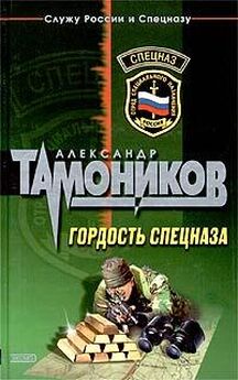 Александр Тамоников - Огненный колосс