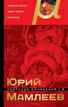Юрий Мамлеев - Том 2. Последняя комедия. Блуждающее время. Рассказы