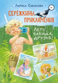 Лариса Соколова - Сережкины приключения. Лето, бабушка, друзья