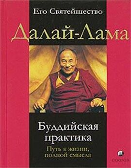 Атма Ананда - Стратегия самобытности: духовная практика