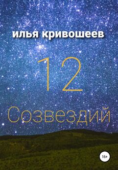 Илья Кривошеев - 12 созвездий