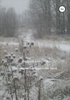 Андрей Соколов - Неспящие. Беспокойная зима