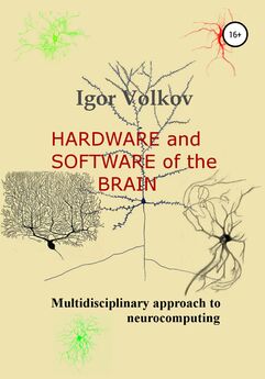 Igor Volkov - Hardware and software of the brain