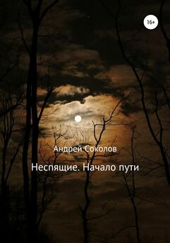 Андрей Соколов - Неспящие. Кровавый след