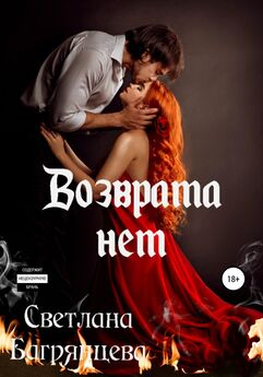 Светлана Багрянцева - Возврата нет. Книга 2
