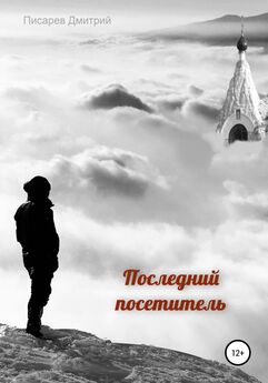 Дмитрий Писарев - Последний посетитель
