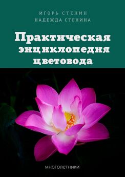 Игорь Стенин - Практическая энциклопедия цветовода