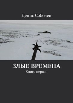 Денис Соболев - Злые времена. Книга первая