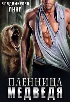 Анна Владимирова - Даша и медведь