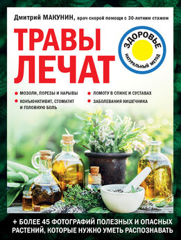 Ирина Пигулевская - Лечение деревьями. 500 рецептов от 100 недугов