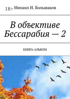 Михаил Большаков - Бессарабии с любовью! Книга стихов