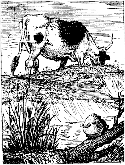 Лягушка на лугу увидевши Вола Затеяла сама в дородстве с ним сравняться - фото 2