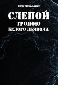 Андрей Воронин - Слепой. Тропою белого дьявола