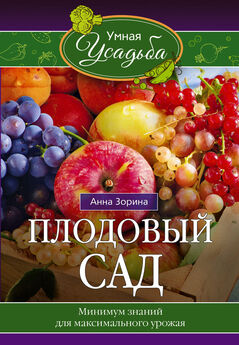 Мария Колпакова - Любимые ягоды в вашем саду: клубника, малина, смородина, облепиха