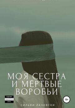 Александр Шмид - Криминал. Мститель
