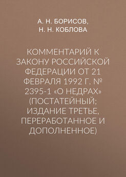 Александр Борисов - Комментарий к Закону Российской Федерации от 21 февраля 1992 г. № 2395-1 «О недрах» (постатейный; издание третье, переработанное и дополненное)