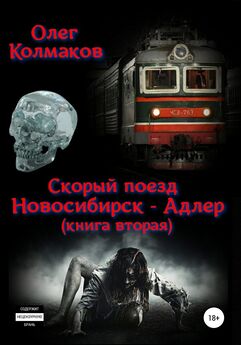 Олег Колмаков - Скорый поезд «Новосибирск – Адлер». Книга вторая