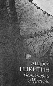 Андрей Никитин - Дороги веков