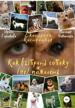Наталья Никитина - Как выбрать собаку и (не) пожалеть