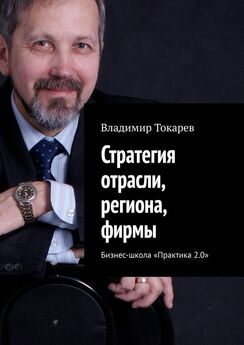 Владимир Токарев - Стратегия отрасли, региона, фирмы. Бизнес-школа «Практика 2.0»