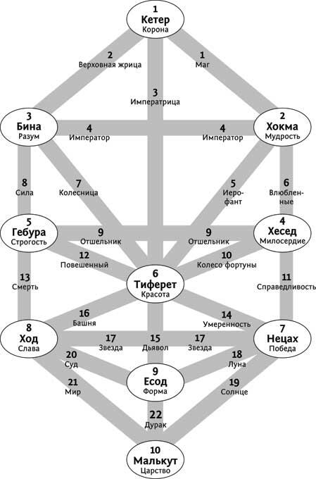 Схема расположения старших Арканов Таро на Древе Сефир Три столба Древа - фото 1