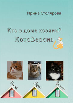 Ирина Столярова - День, когда коты заговорили. КотоВасия