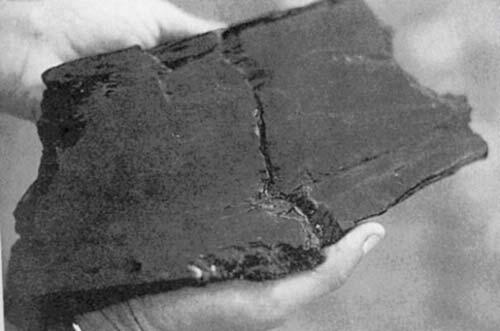 Фрагмент отполированной деревянной дощечки возрастом около 500 тысяч лет - фото 1