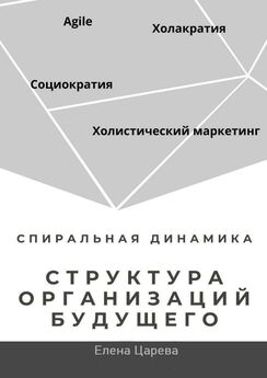 Елена Царева - Структура организаций будущего