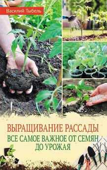 Василий Тыбель - Выращивание рассады. Все самое важное от семян до урожая