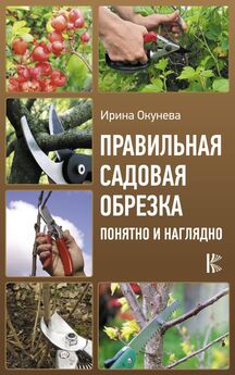 Ирина Окунева - Правильная садовая обрезка: понятно и наглядно