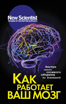 Array Сборник статей - Мозговой трест. 40 ведущих нейробиологов – о том, что мы знаем и чего не знаем о мозге