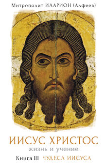 Дмитрий Щедровицкий - Учение Иисуса о воскресении души