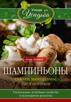 Мария Колпакова - Любимые ягоды в вашем саду: клубника, малина, смородина, облепиха