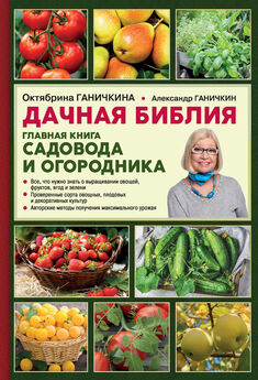Е. Михалев - Как правильно выращивать овощи
