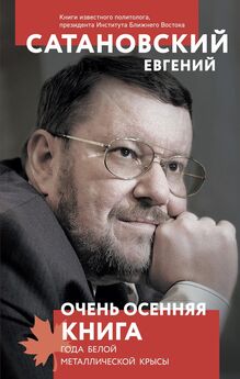 Евгений Сатановский - Книга войны