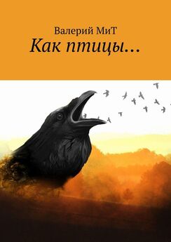 Валерий МиТ - Как птицы…